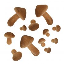 Mix di funghi marrone chiaro 2 cm - 8 cm 12 pezzi