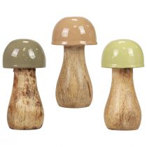 Funghi in legno funghi decorativi legno beige, verde Ø5cm H10,5cm 6 pezzi