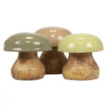 Prodotto Funghi in legno Deco Funghi Deco in legno Beige, Verde Ø5cm H5,5cm 12 pezzi