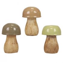 Prodotto Funghi in legno funghi decorativi legno beige, verde Ø5 cm 7,5 cm 12 pezzi