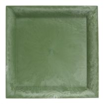 Piatto di plastica quadrato verde 26 cm x 26 cm