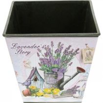 Prodotto Portavaso motivo lavanda, vaso decorativo quadrato, cachepot in plastica H13cm L13,5cm