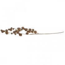 Prodotto Ramo decorativo Platano con frutti Decorazione autunnale Platano artificiale Marrone L82cm Ø2-4cm