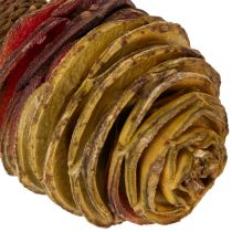 Prodotto Crema di Platyspermum 1-3, 50 teste