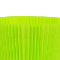 Prodotto Polsini plissettati verde chiaro 10,5 cm 100 pezzi