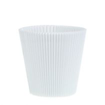Prodotto Polsini plissettati bianchi 12,5 cm 100 pezzi