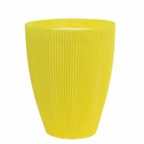 Prodotto Polsini plissettati giallo 14,5cm (100pz.)