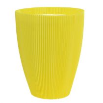 Prodotto Polsini plissettati gialli 18,5 cm 100 pezzi