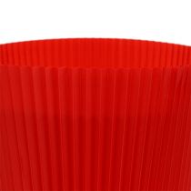 Prodotto Polsini plissettati rossi 10,5 cm 100 pezzi