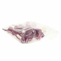 Prodotto Plumosum 1 Erika 25 pz