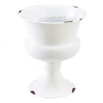 Vaso tazza tazza decorativa bianco ruggine Ø13,5 cm H15 cm Shabby Chic