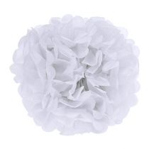 Prodotto Pompon di carta Bianco Ø30cm 5pezzi