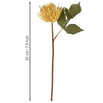 Prodotto Protea artificiale Leucospermum puntaspilli giallo 30 cm 6 pezzi
