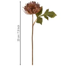 Prodotto Puntaspilli Fiore artificiale Leucospermum Viola 30cm 6pz