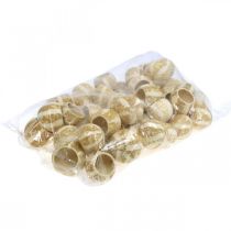 Prodotto Decoro Zucca Coppa Campana Coppa Zucca sbiancata 50 pz