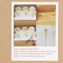 Prodotto Dente di leone decorativo bianco – delicati fiori secchi per composizioni eleganti Ø11cm 6 pz.