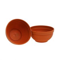 Prodotto Ciotola R in plastica terracotta Ø19cm, 10pz