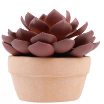 Prodotto Pianta grassa in vaso Echeveria artificiale rossa Ø15cm