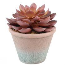 Prodotto Pianta grassa in vaso Echeveria artificiale rossa vintage Ø15cm H16cm