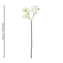 Prodotto Bouquet di ranuncoli artificiali, decorazione floreale di lunga durata per la primavera, 32 cm, 5 pezzi