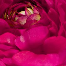 Prodotto Ranuncolo artificiale come fiore singolo per un design d'interni versatile e senza tempo, 51 cm, 3 pezzi