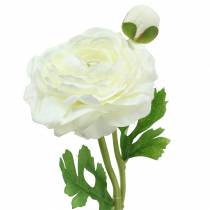 Prodotto Ranuncolo fiore artificiale con bocciolo e bocciolo bianco H34cm
