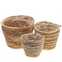 Prodotto Cesto per piante in rattan natura/marrone Ø26/22/16cm 3pz