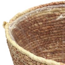 Prodotto Set di cestini per piante in rattan, naturale/marrone, 3 pezzi, Ø26/22/16 cm – Decorativo e versatile