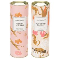 Prodotto Diffusore di fragranze per ambienti con esotiche note di cocco e mango per una freschezza duratura in casa, 19 cm, 2 pezzi