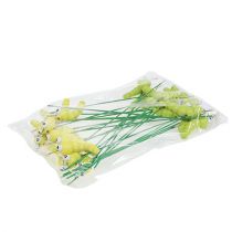 Prodotto Bruco in legno su bastone verde, giallo 8 cm 24 pz