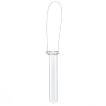 Prodotto Provetta in vetro decorativo per appendere mini vaso Ø2,4 cm H22,5 cm