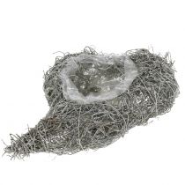 Prodotto Cuore di vite lavato bianco 16 cm x 21 cm 1 pz