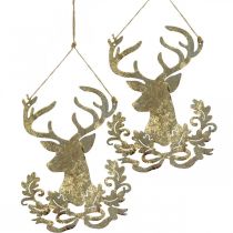 Prodotto Renna da appendere, decorazione natalizia, testa di cervo, ciondolo in metallo dorato anticato H23cm 2pz