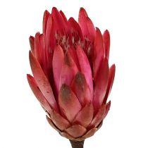 Prodotto Repens Erika 25 pz
