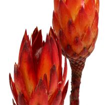 Repens rosso 2 toni 25pz