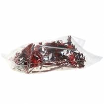 Prodotto Rosetta Repens Rossa 8cm - 9cm 25 pz