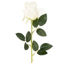 Prodotto Rose artificiali a stelo lungo, per vaso, 62 cm, 12 pezzi