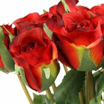 Rosa rossa 42 cm 12 pezzi