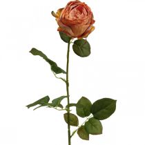 Rosa artificiale arancione, rosa artificiale, rosa decorativa L74cm Ø7cm