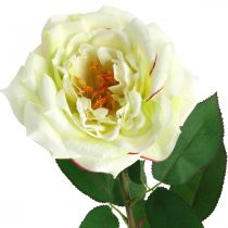 Rosa artificiale, rosa decorativa, fiore di seta bianco crema, verde L72cm Ø12cm
