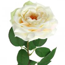 Rosa albicocca bianco crema, fiore di seta, rose artificiali L72cm Ø12cm