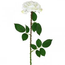 Rosa bianca Rosa finta su stelo Fiore di seta Rosa finta L72cm Ø13cm