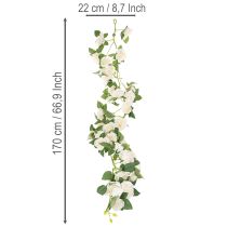 Prodotto Ghirlanda di rose artificiali con fiori bianchi per decorazione, 170 cm