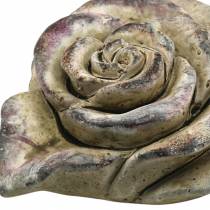Cuore di rosa di cemento grigio, viola Ø13 H5cm 3 pezzi