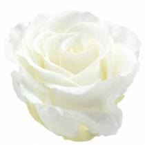 Rose Infinity grandi Ø5,5-6cm bianche 6 pezzi