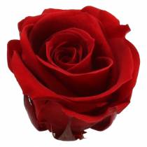 Prodotto Rose stabilizzate medie Ø4-4,5 cm rosse 8 pz