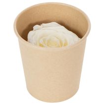 Prodotto Teste di rosa stabilizzate, decorazione da tavola resistente per un'atmosfera romantica, decorazione per matrimoni, 5 cm, 6 pezzi