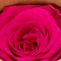 Prodotto Decorazioni di rose stabilizzate, fiori veri per decorare la tavola, fiori unici e sostenibili, 5 cm, 6 pezzi