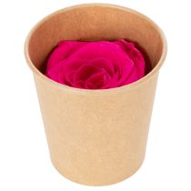 Prodotto Decorazioni di rose stabilizzate, fiori veri per decorare la tavola, fiori unici e sostenibili, 5 cm, 6 pezzi