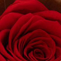 Prodotto Rose stabilizzate decorative e romantiche, ideali per spazi abitativi o matrimoni, 5 cm, 6 pezzi